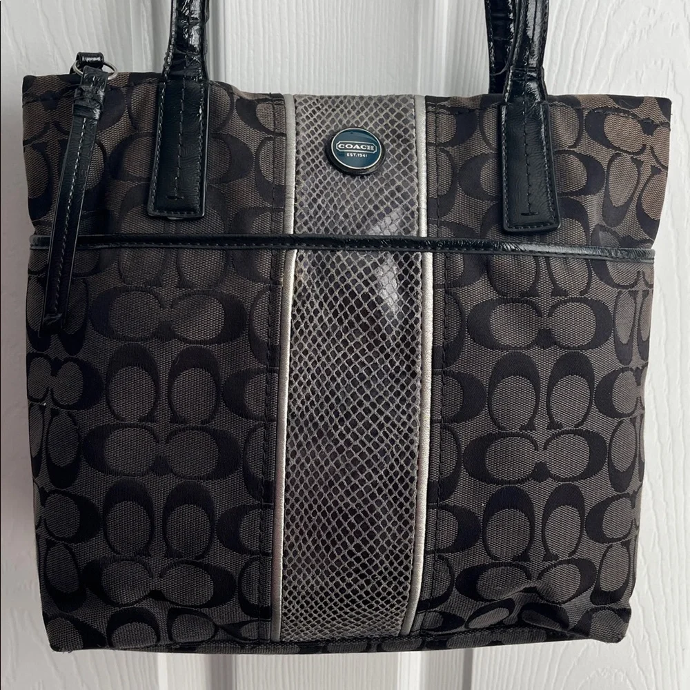 Coach Signature Python Stripe Tote Shoulder Canvas Bag (H1360 - F25706)